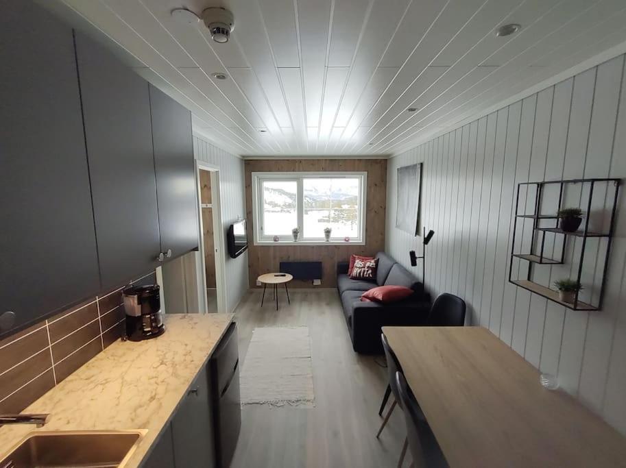 Utleieleilighet 4 Sengeplasser Ski Inn Og Ut Drangedal Dış mekan fotoğraf