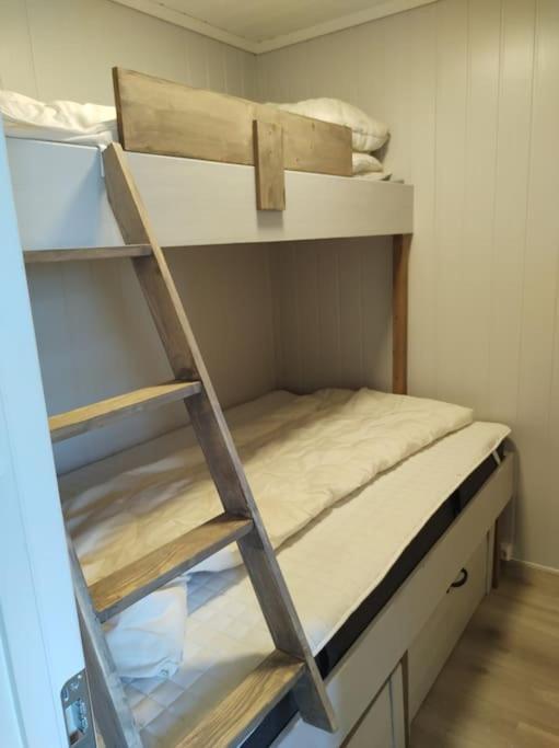 Utleieleilighet 4 Sengeplasser Ski Inn Og Ut Drangedal Dış mekan fotoğraf